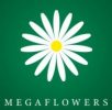 Megaflowers