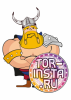 Tor-insta
